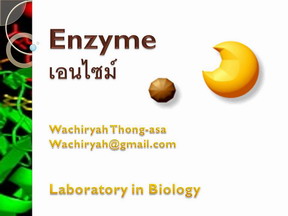 enzyme