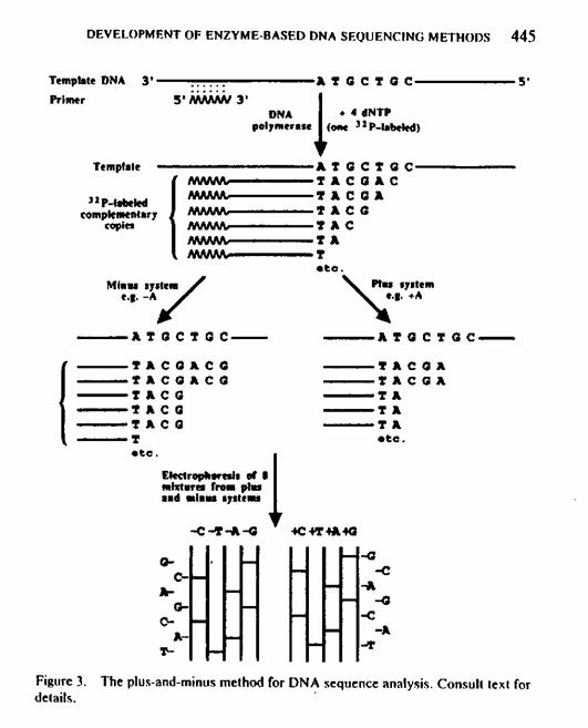 DNA Sequencing