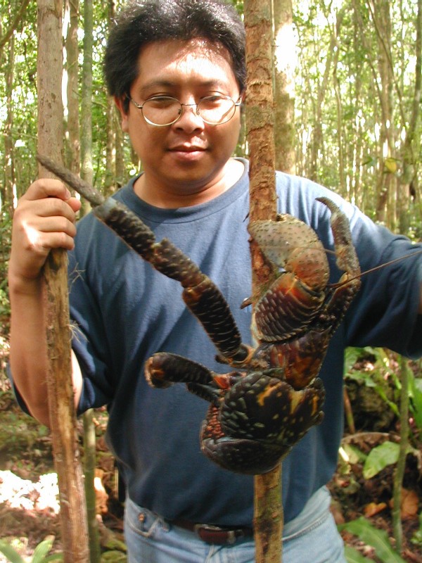 CoconutCrab1