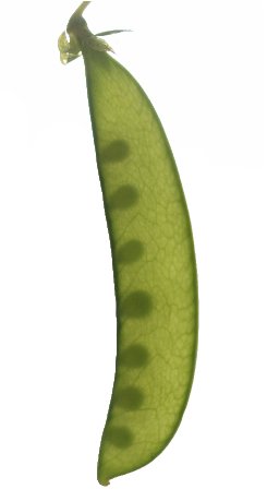 P2022256
